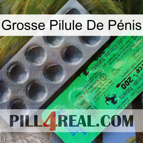 Grosse Pilule De Pénis new04.jpg